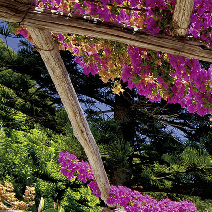 Komar | Fototapete | Amalfi | Größe 368 x 254 cm —